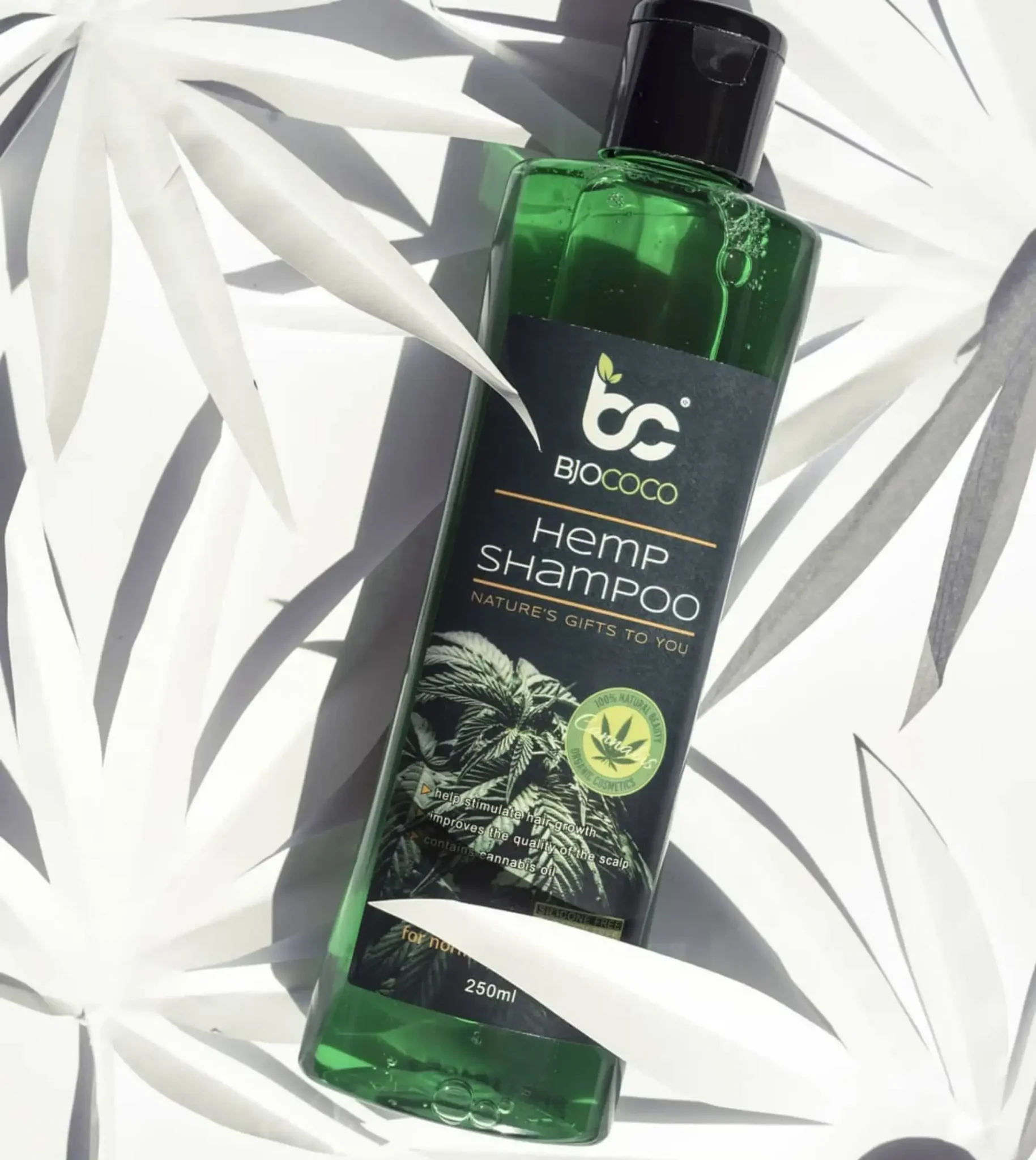 Szampon konopny marki BjoCoco o pojemności 250 ml, sfotografowany na tle białych liści. Naturalna pielęgnacja włosów z ekstraktem z konopi, stymulująca wzrost włosów i poprawiająca kondycję skóry głowy.