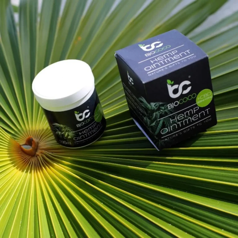 Słoiczek maści konopnej BjoCoco wraz z kartonowym opakowaniem na liściu palmy. Naturalny kosmetyk z CBD.