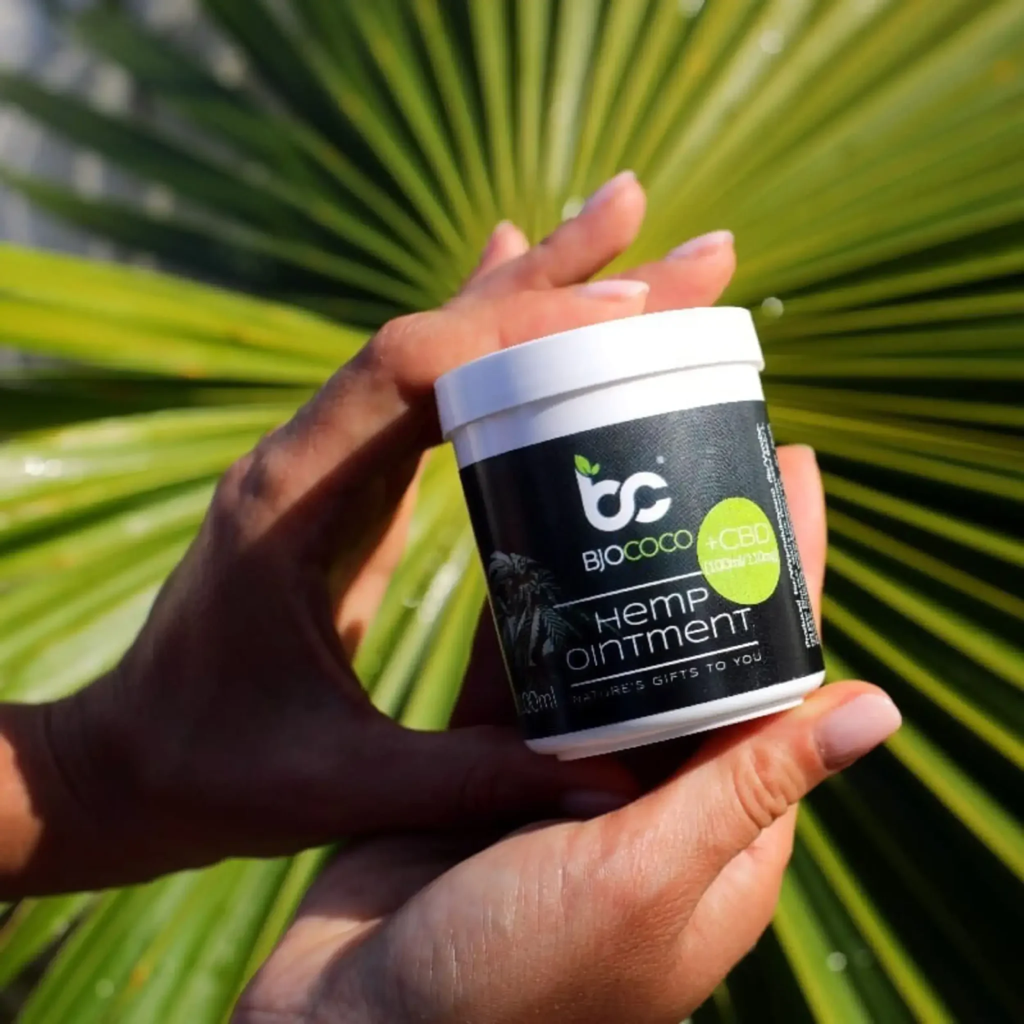 Maść konopna BjoCoco trzymana w dłoniach na tle zielonych liści palmy. Naturalny produkt pielęgnacyjny.