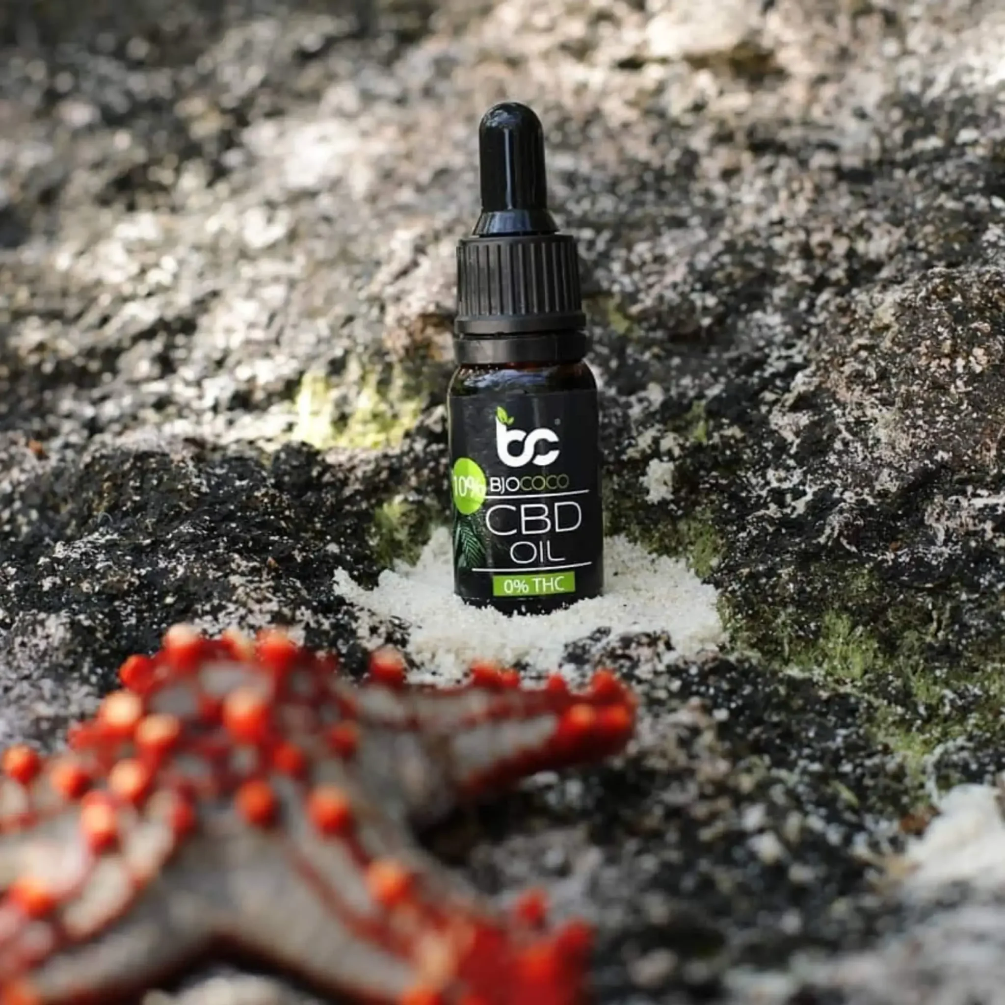 Olejek CBD BjoCoco umieszczony na tle skały z piaskiem, w pobliżu rozgwiazdy morskiej, idealny do relaksu i regeneracji.